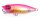 (SP-C) GP AURORA PINK BACK