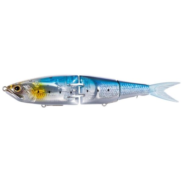 001 N Sardine