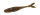Duo Realis V-TAIL SHAD 3" / 7.6cm