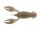 Bloodworm