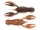 Molting Craw