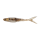 Brown Perch