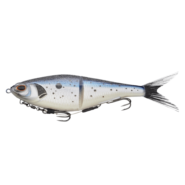 Baitfish