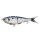 Baitfish