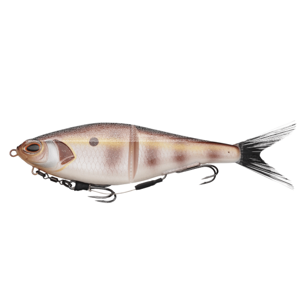 Bream