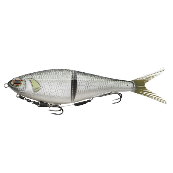 Olive Shad