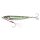 Green Mackerel