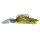 Green Pumpkin Chartreuse #11