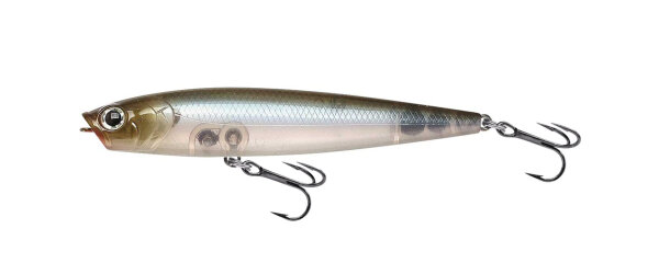 Ghost Minnow