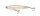 Chartreuse Shad