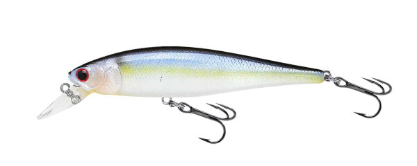 Pearl Threadfin Shad