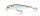 Pearl Threadfin Shad