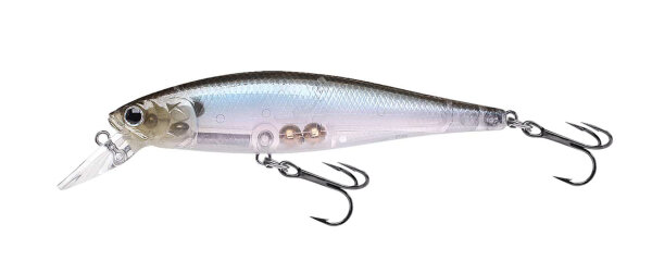 Ghost Minnow