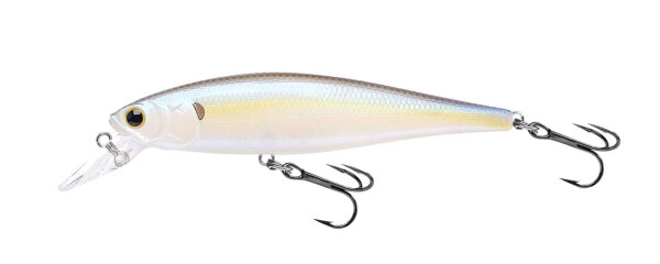 Chartreuse Shad