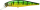 Aurora Green Perch