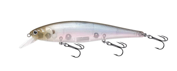 Ghost Minnow