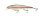 Laser Rainbow Trout