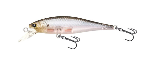 Ghost Minnow