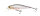 Ghost Minnow
