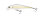 Chartreuse Shad