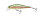 Laser Rainbow Trout