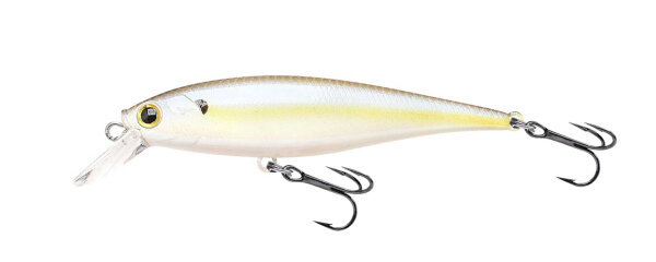 Chartreuse Shad