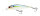 Pearl Threadfin Shad