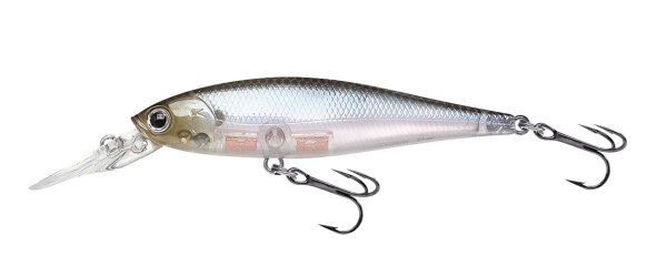 Ghost Minnow