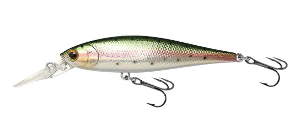 Laser Rainbow Trout