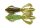 Green Pumpkin / Chartreuse