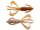 Golden Goby (BA-Edition)