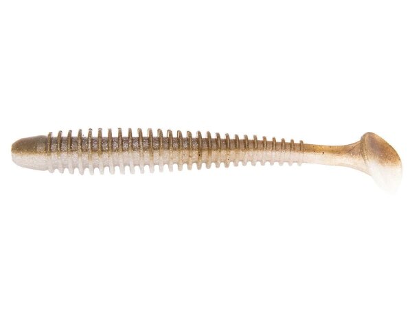 Arkansas Shiner