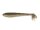 Gold Flash Minnow