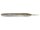 Silver Flash Minnow