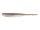 Electric Shad