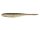 Gold Flash Minnow