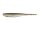Silver Flash Minnow