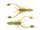 Green Pumpkin / Chartreuse