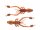 Spring Craw