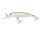 Hologram Lake Shad