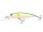 Lime Ayu/Orange Belly