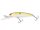 Sexy Shad
