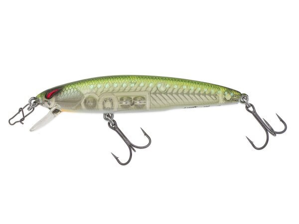 (75) BB Clear Water Green