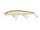 (107H) Hologram Sweet Fish