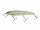 (075) BB Clear Water Green