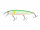 (298) Lime Ayu/Orange Belly