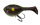 MARUHATA VISIBLE BROWN