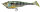 Chartreuse Strike Gill