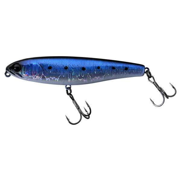Oily Sardine