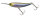 Aurora Baitfish